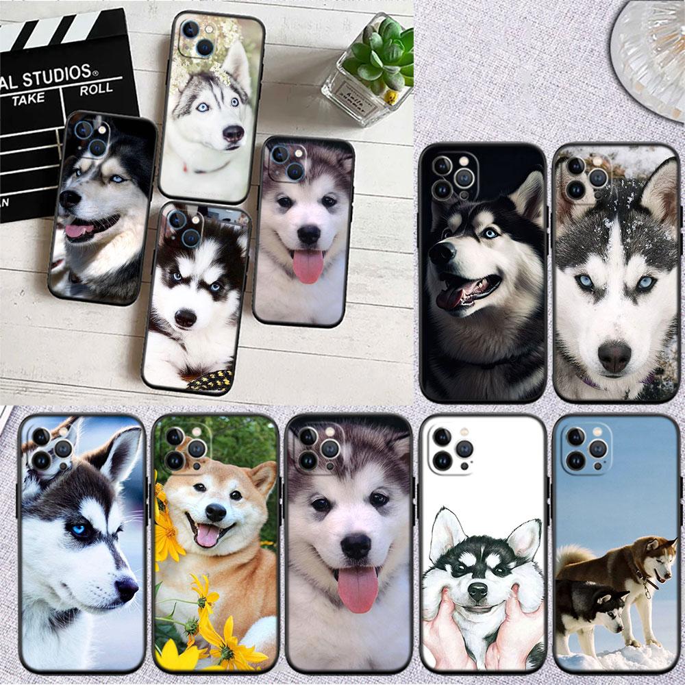 LO53 Husky Puppy Dog Soft Shell Phone Case for iPhone SE X XS XR 11 16E 17 Pro Max Air 8 7 6 6s Plus