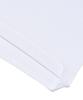 BLACK BRIAR Bb Typo T-Shirt (White)