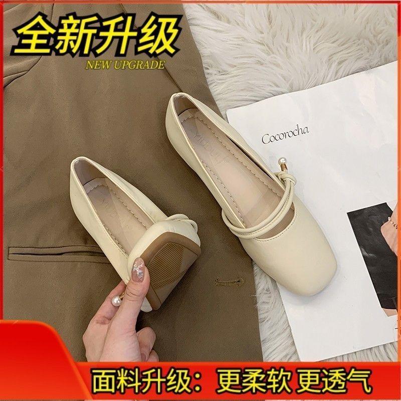 Mary Jane Fairy with Skirt Small Leather Single Shoes Women's New Spring and Autumn Gentle Flat-bottomed Grandma Laden Shoes