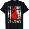 Vintage Dugout Surge - Scarlet Storm Classic Cardinal Styles T-Shirt