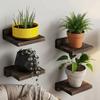 4PCS Wood Small Floating Shelves Simple Plant Flower Pot Tray Wall Mounted Shelves  for Kitchen