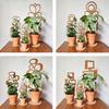 Tre Plantebrakett Bladform Espalier Klatreplante Støttestativ Enkel Installasjon Multifunksjonell Planteholder