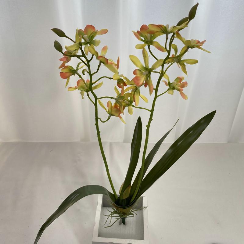 

Artificial Dendrobium Elegant Orchid Stem With Foliage For Tabletop Decoration Green Pink