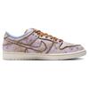 Nike SB Dunk Low Premium City Of Style Skateboard Shoes FN5880-001