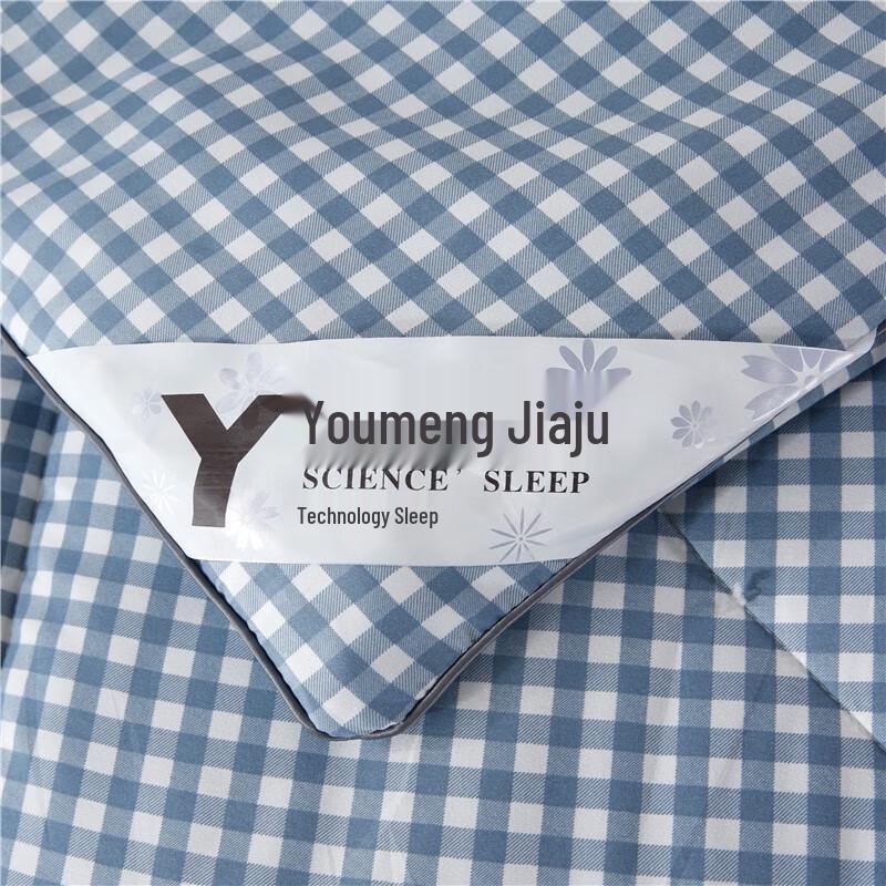 Youth Dream Four Seasons Quilt