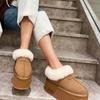 Platform Ankle Snow Boots Woman Fur Cotton Shoes High Heels Brand Suede Warm Plush Slippers Woman 2024 Trend Casual Botas Muejr