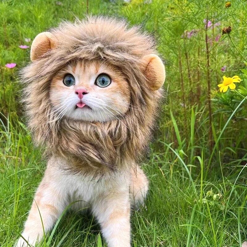 Cat Cosplay Dress Up Pet Hat Cute Lion Mane for Cat Puppy Lion Wig Costume Party Decoration Halloween Christmas Gatos Costume Cosplay Toy Pet Supplies