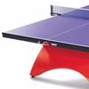 Double Happiness Big Rainbow Indoor Table Tennis Table