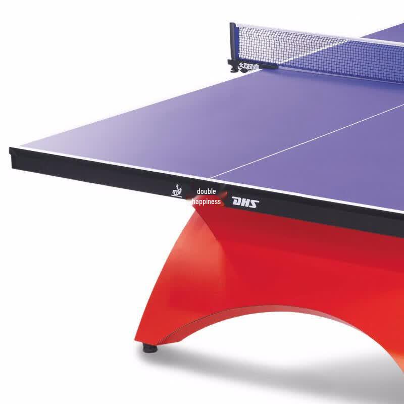 Double Happiness Big Rainbow Indoor Table Tennis Table