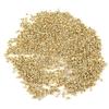 10000pcs Non-Toxic Beekeeping Tools Brass Frame Eyelets  Beehive Maintenance
