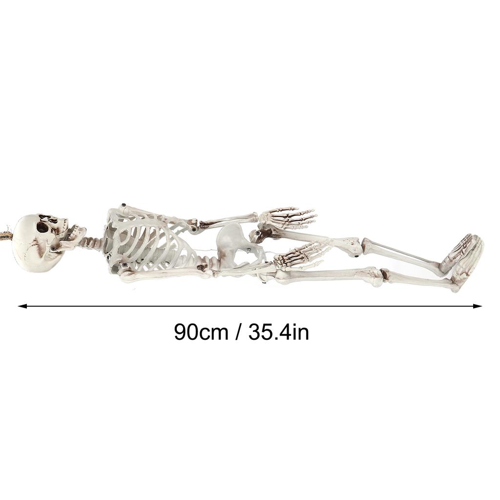 Halloween Resin Full Body Skeletons with Movable Joints for Home Costume Party Decoration Props