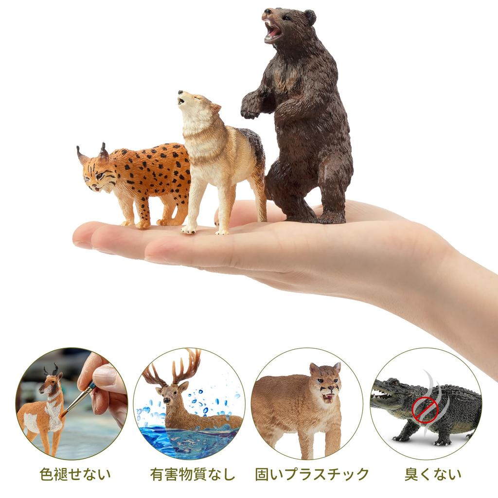 TOYMANY North American Forest Animals Figure Set, 12 Pcs (Hand-Painted, Educational & Display)