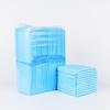 100-Piece Thickened Absorbent Pet Diaper Pads for Cats and Dogs