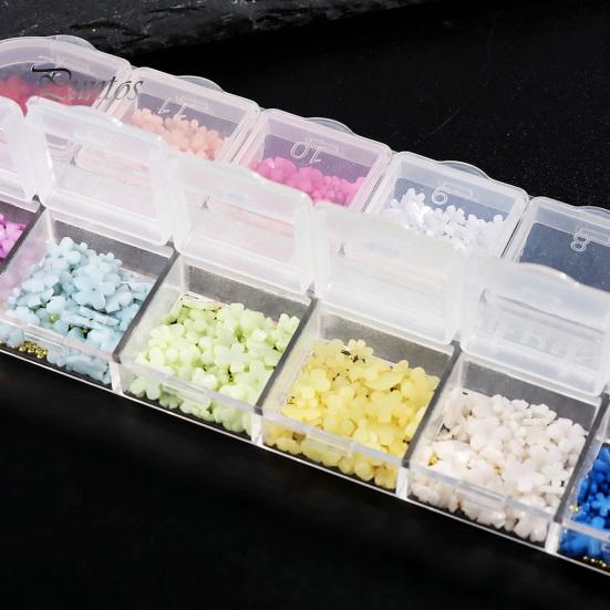 1 Box 3D Flower Nail Charms Multifunctional 12 Grid Design Phone Cases DIY Crafts Nail Art Supplies for Women
