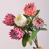 Stile Europeo Simulazione Fiori Imperiali Ramo Festa Decorativa Seta Artificiale Bianco Fiore Reale Decorazione Stanza