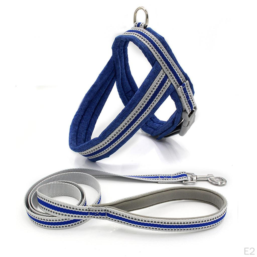 Pet Harness Set Walking Leash For Small cat and dog