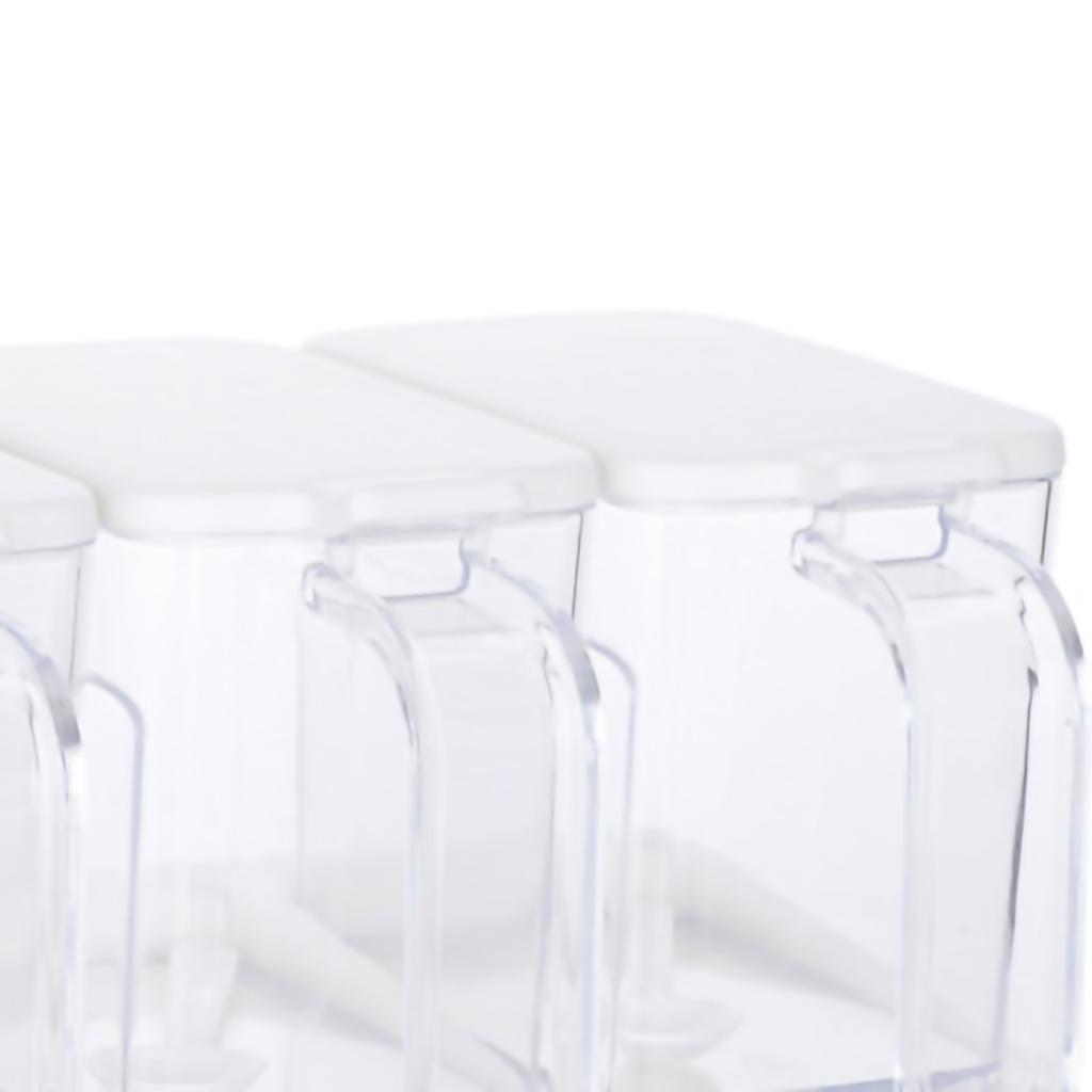 Gewürzbox Set Kunststoff Transparent 3 Fächer Großes Fassungsvermögen Gewürzbox mit Löffeln für Küche