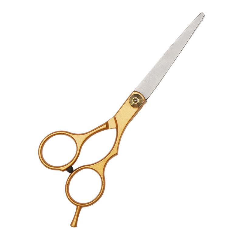 5.5 Inch Professional Hairdressing Scissors Set: Haircutting & Thinning Shears for Adults & Kids