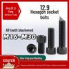 High-Strength Grade 12.9 Hex Socket Head Cap Screws M16-M30 Blackened Cylindrical Bolts