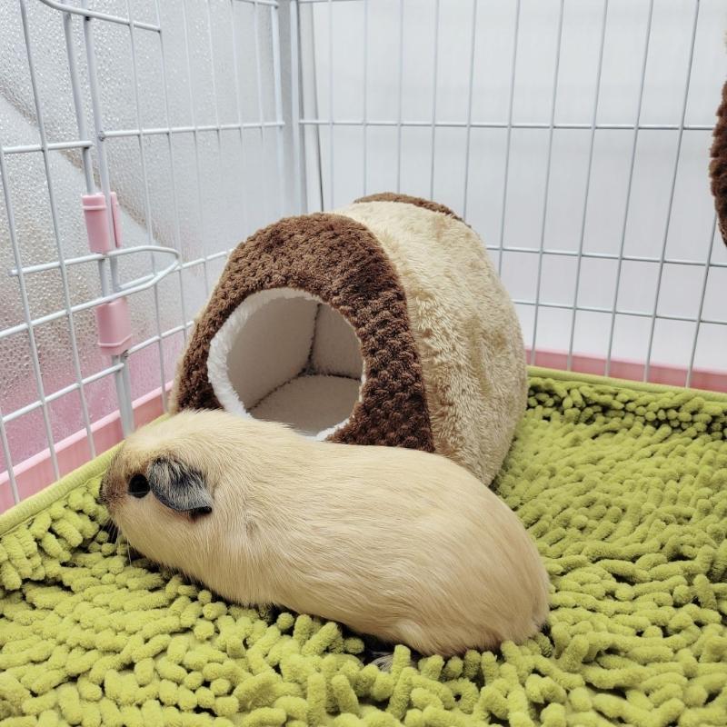Hamster Hängematte Warmes Bett Plüschhaus Versteck für Kleintier Frettchen Igel Spielen Schlafen Klettern