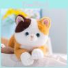 Plush Cat Doll Toy For Kids Kids Sleep Pillow Kids Gift