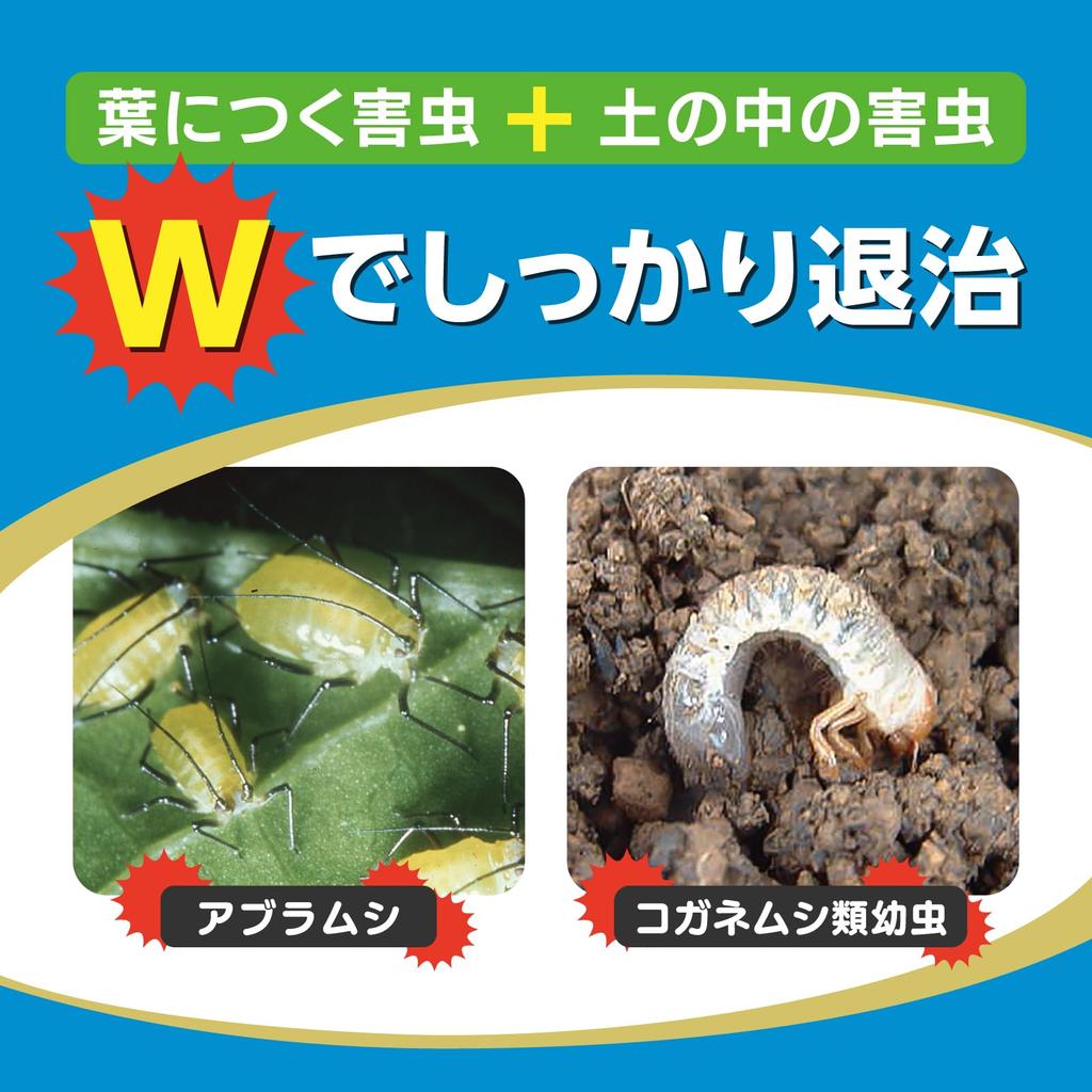 Sumitomo Chemical Gardening Ortran DX Granules Effective Against Aphids and Scarab Larvae Insecticide, 1kg, Systemic,