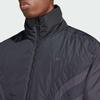 Adidas Originals Trefoil FW24 Down Jacket Men's Black IW3458