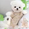 Belly Protection Small Dog Clothes Autumn Winter Teddy Bichon Pomeranian Cat Small Dog Pet Four-Legged Winter Belly Wrap