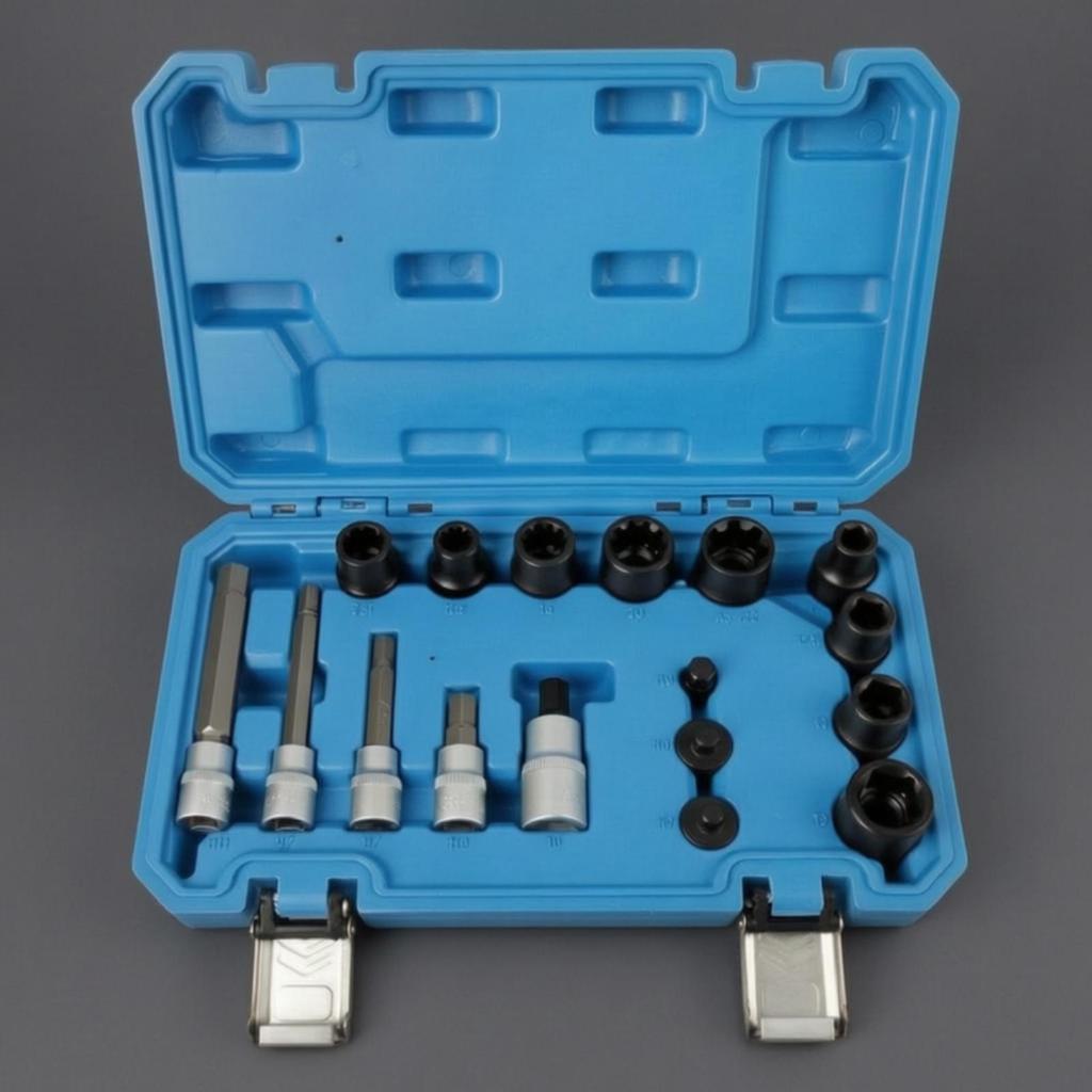 17 Pieces Brake Caliper Piston Removal and Installation Tool Set for Mechanics,