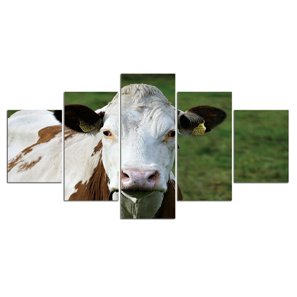 

5 шт., корова, крупный рогатый скот, сельскохозяйственные животные, 5 шт., фотографии, HD печать, без рамки, 5 панелей, современное искусство, домашний декор, абстрактные картины, настенный постер