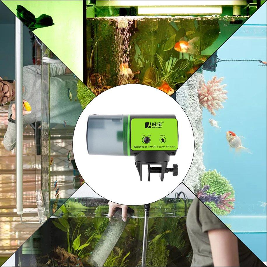 self feeding fish tank