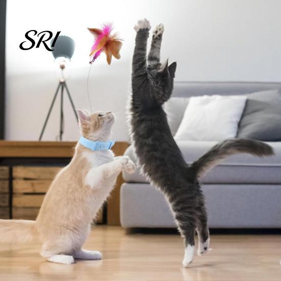 Cat Toy for Stress Relief Collar Feather Interactive Wand Hands Free Mental Stimulation Teaser with Bell Adjustable Indoor Kitty Solo Play Self-play