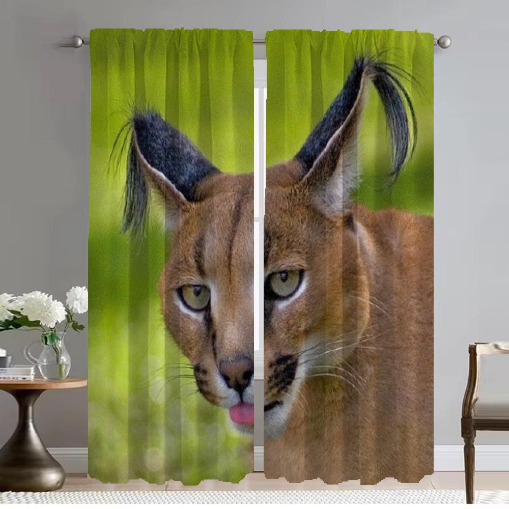 

Tulle for Bedroom Caracal Kitchen Curtains 2 Pieces Elegant Room Curtains Living Room Curtain Shades Halloween Decoration Camera W50xH70cmx2pcs-CL