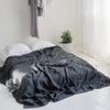 Natural Flax Bed Sheets Plus 2 Pillowcases 100% Washed Linen Sheet 3PCS Set Breathable Soft Farmhouse Home Bedding Flat Sheet