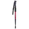 Retractable Aluminum Walking Stick & Trekking Pole (2-Pack)