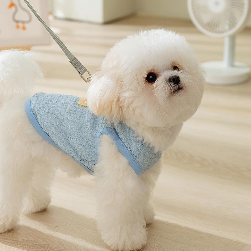 Spring and Summer Dog Cute Cartoon Hollow Breathable Bear Sticker Traction Vest Cat Two Feet Pet Dog Clothes