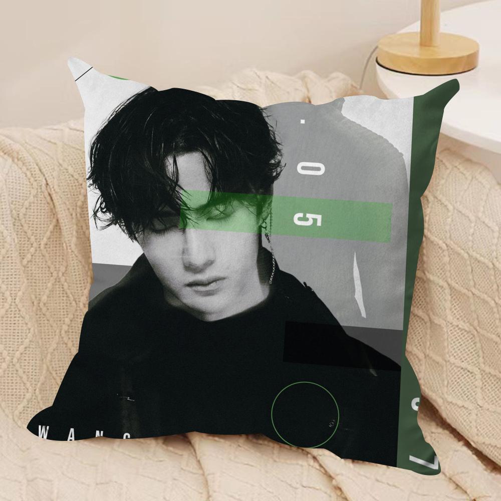 W-Wang Yibo Kissenbezug Weicher Plüschstoff Beidseitig Bedruckter Sofakissenbezug für Alle Jahreszeiten Heimdekoration Geschenk