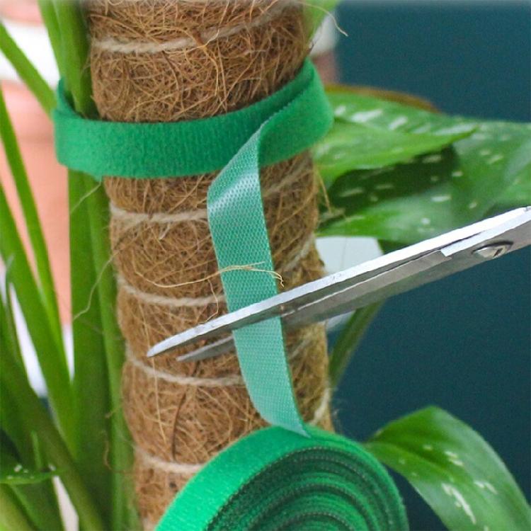 Auto Gripping Plant Ties 2cm Wide Soft Garden Straps Suitable For Vine Support And Cable Management 2cm Gardening Band