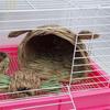 Woven Straw Pet Rabbit Hamster Guinea Pig Cage Nests House Toy Chinchilla Bed