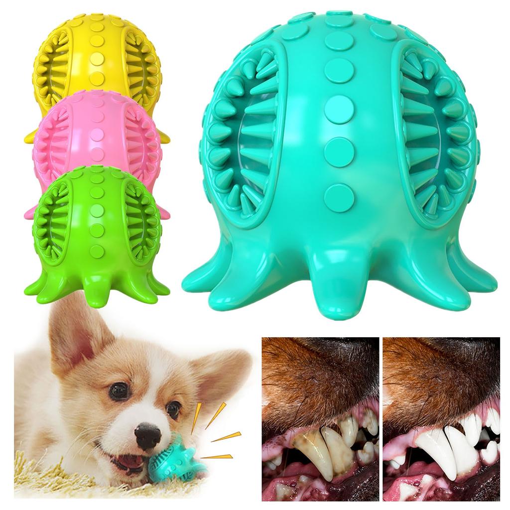 new dog toothbrush