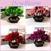 Pinus Hwangshanensis Artificial Bonsai With Plastic Material For Home Decor And Gift Use