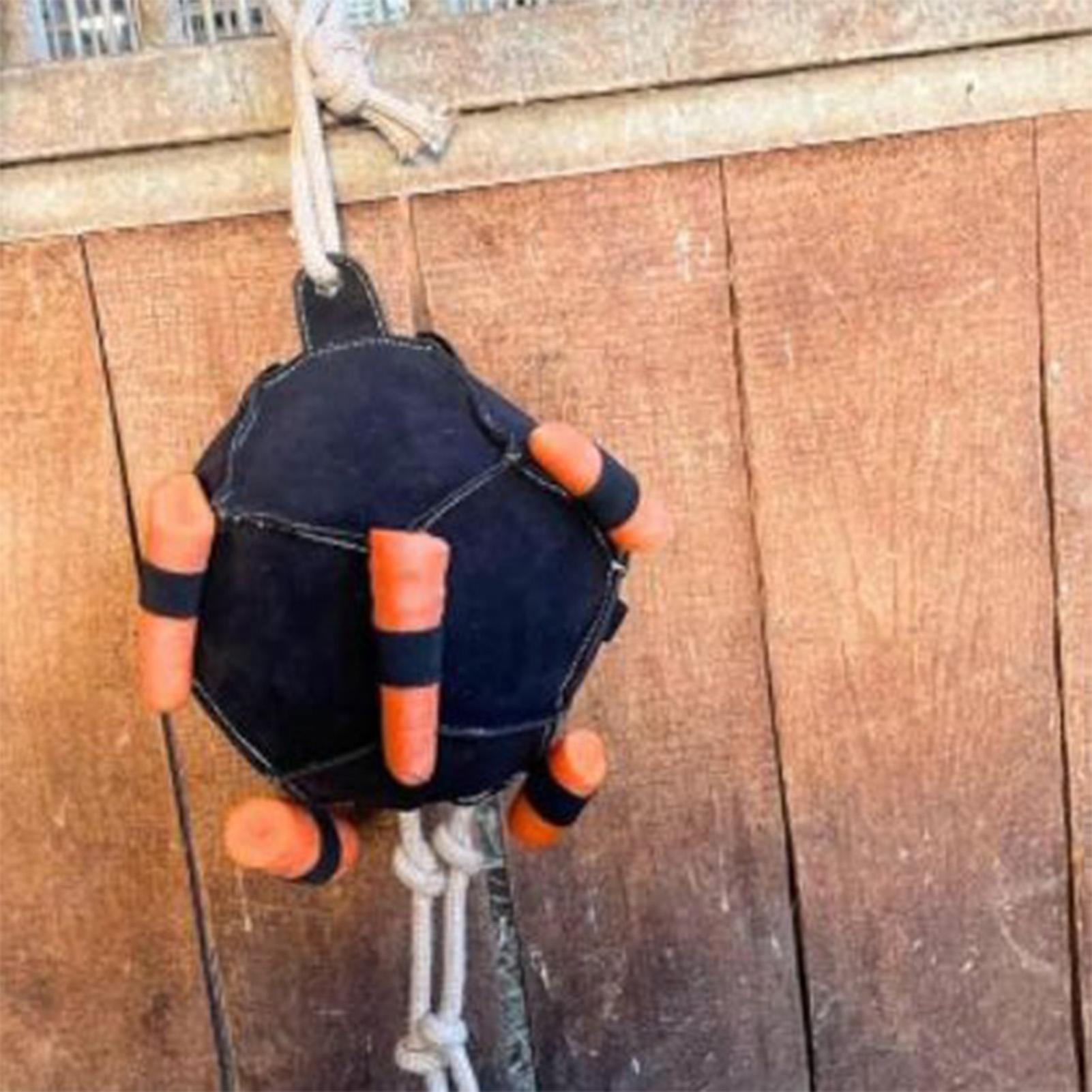 

Hay Ball Horse Toy Interactive Carrot Training And Feeding Ball Funny Boredom Buster Stress Reliever for Horse Farm CN