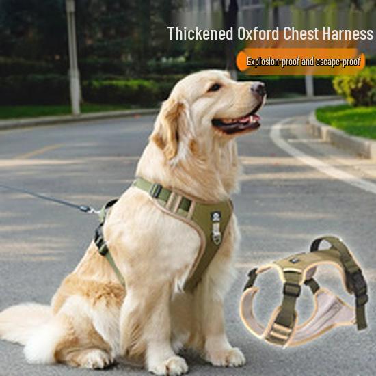 Verstellbares ausbruchsicheres Katzengeschirr und Leine für den Außenbereich