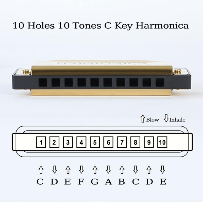 1Pc Professional 10 Hole 20 Tone Harmonica Color C Tone Harmonicas With Case Christmas Gift For Beginners Harmonica