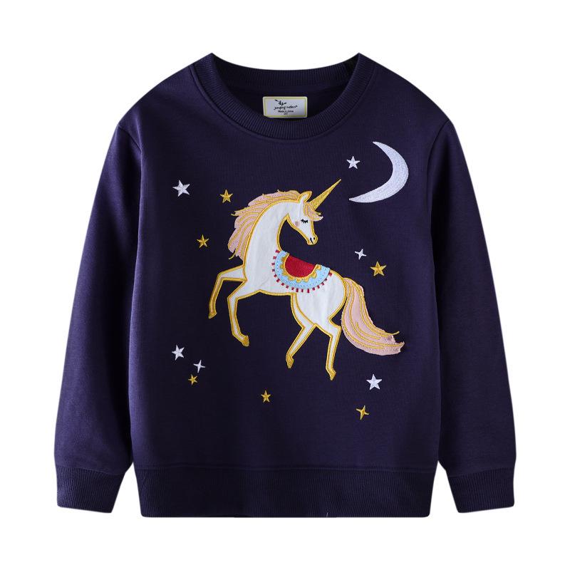 

Embroidered Girls Autumn Hoodies - Round Neck Pullovers for Children 5T fits height 100-110cm
