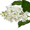 Hill Interiors The Natural Garden Collection White Lilac Artificial Flower