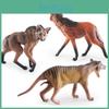 Simulated Wildlife Animal Wolf Model For Educational Use And Childrens Collection