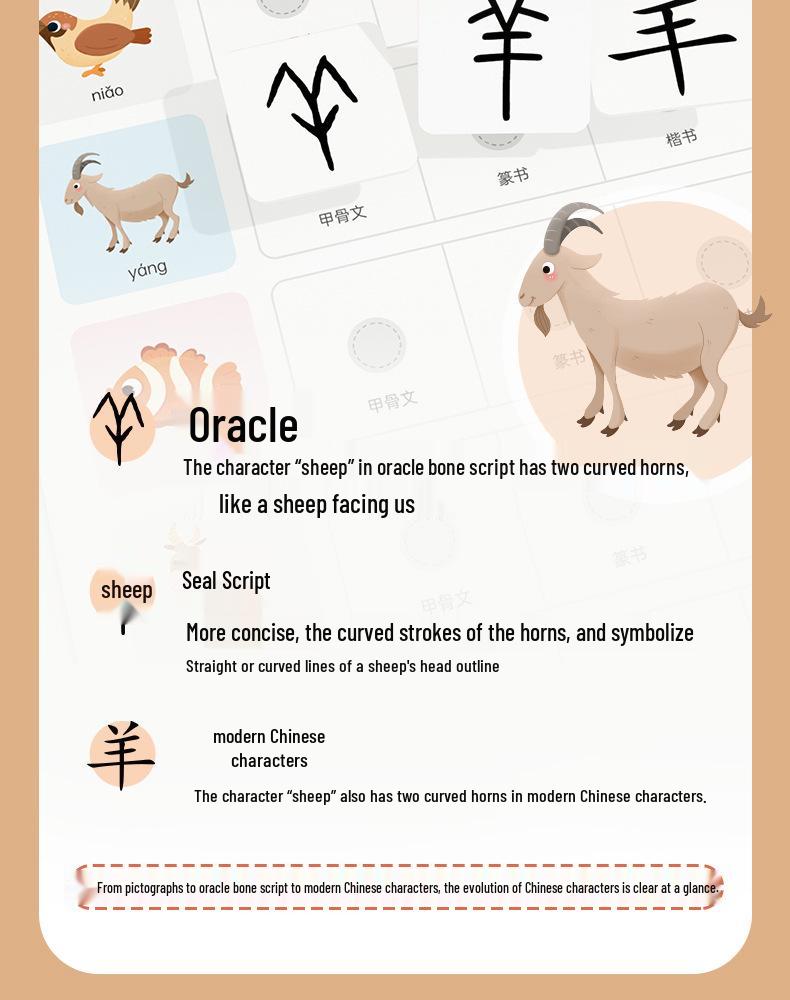Pinwheel Chinese Character Evolution Literacy Cards for Early Education