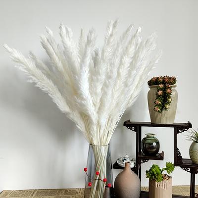 Woondecoratie – Decoratieve bloemen en kransen