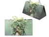 Set of 6 Carmani Laurel Lozano Gift Bags Paper Bags